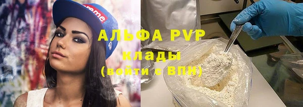 гашик Новозыбков