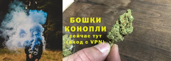 Альфа ПВП Аша