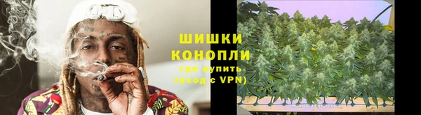 гашик Новозыбков