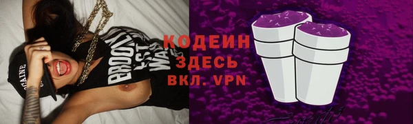 гашик Новозыбков