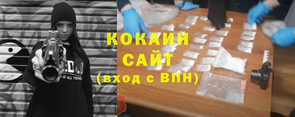 гашик Новозыбков