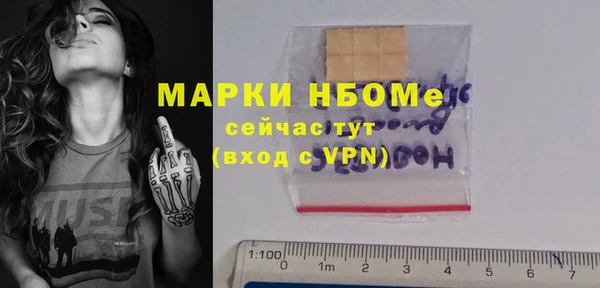 молекула духа Новокубанск