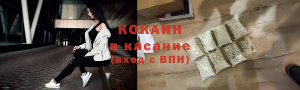 гашик Новозыбков