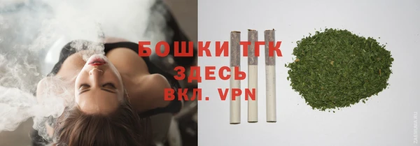 молекула духа Новокубанск
