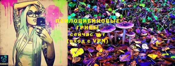 молекула духа Новокубанск
