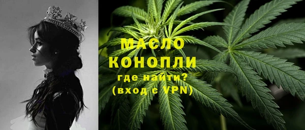 гашик Новозыбков