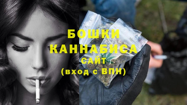 молекула духа Новокубанск