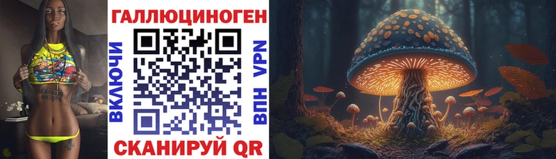 Галлюциногенные грибы Magic Shrooms  купить   Томск 