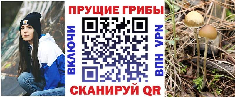 Галлюциногенные грибы прущие грибы Томск