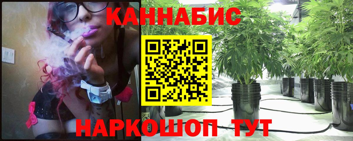 Каннабис план Томск